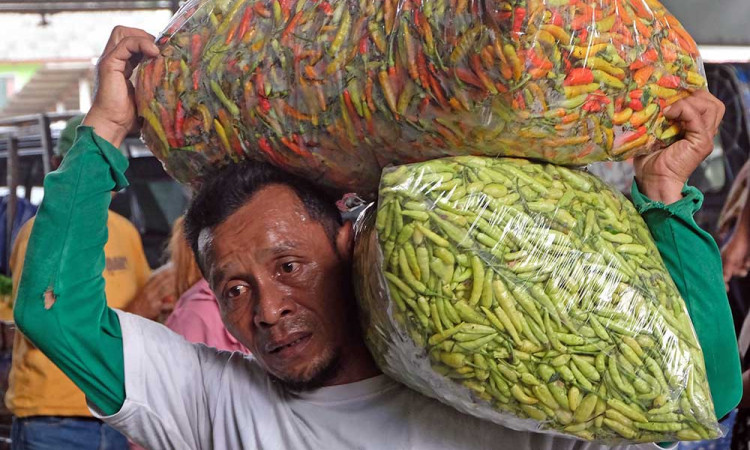 Harga Saturan Alami Kenaikan Yang Signifikan