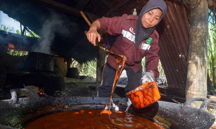 Harga Jual Gula Merah di Sumatra Barat Membaik