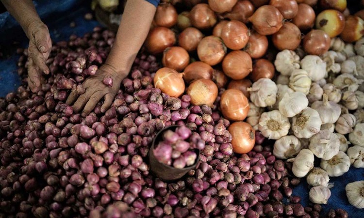 Harga Berbagai Jenis Bawang di Pasar Tradisional Mulai Naik 