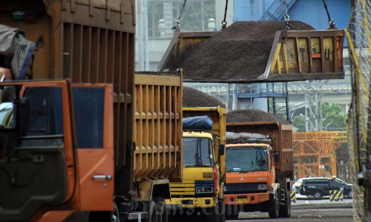 Ekspor Cangkang Sawit Indonesia Terus Meningkat