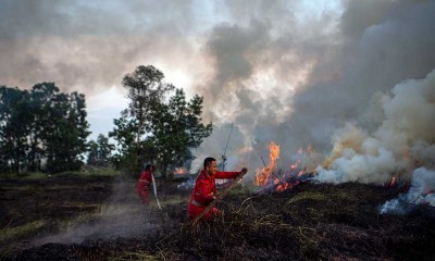 Kebakaran Lahan Kembali Terjadi di Sumatra Selatan