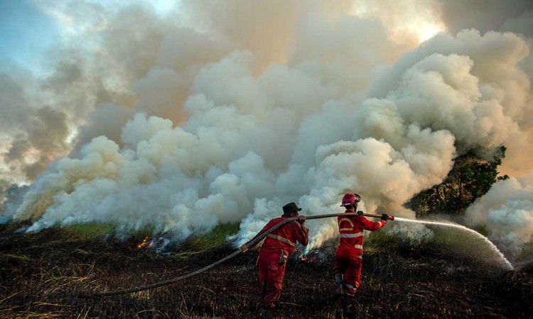 Kebakaran Lahan Kembali Terjadi di Sumatra Selatan