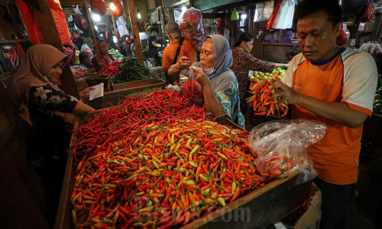 Kenaikan Harga Cabai Dipicu Faktor Cuaca Tidak Menentu