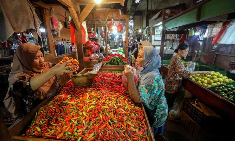 Kenaikan Harga Cabai Dipicu Faktor Cuaca Tidak Menentu