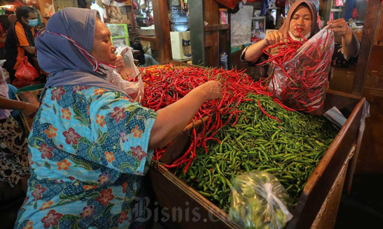 Kenaikan Harga Cabai Dipicu Faktor Cuaca Tidak Menentu