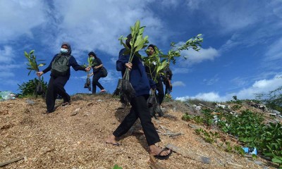 Perkecil Resiko Bencana Alam, Relawan Menanam 2.000 Bibit Mangrove di Palu