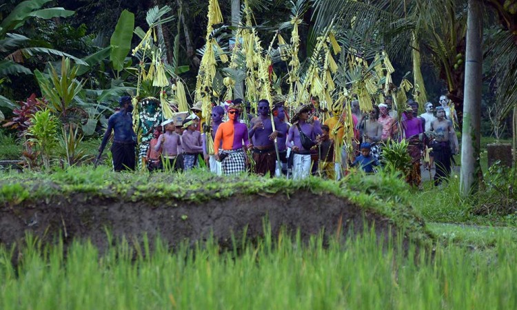 Warga Merias Diri Jadi Warna Warni saat Tradisi Ngerebeg di Bali