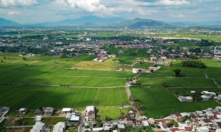 Lahan Pertanian di Kota Mataram Mulai Menyusut