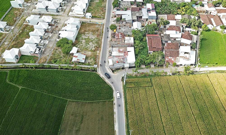 Lahan Pertanian di Kota Mataram Mulai Menyusut
