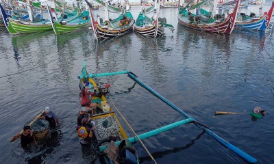 Produksi Ikan Menurun Sejak Bulan Juni 2022 Akibat Cuaca Buruk