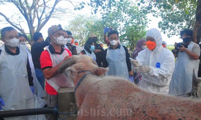 Kunjungan Kerja Menteri Pertanian di Grobogan