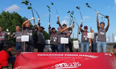Hari Mangrove Sedunia, IFG dan Anak Usaha Tanam Mangrove di Bali 