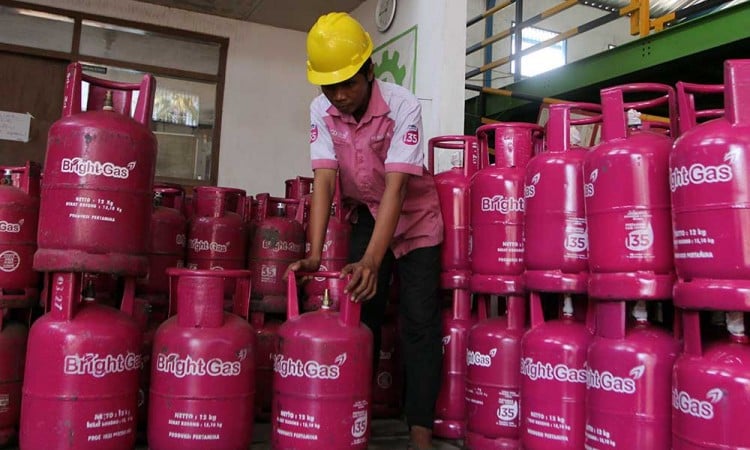 Harga LPG Non Subsidi Naik, Penjualan Elpiji 12 kg dan 5 kg Alami Penurunan