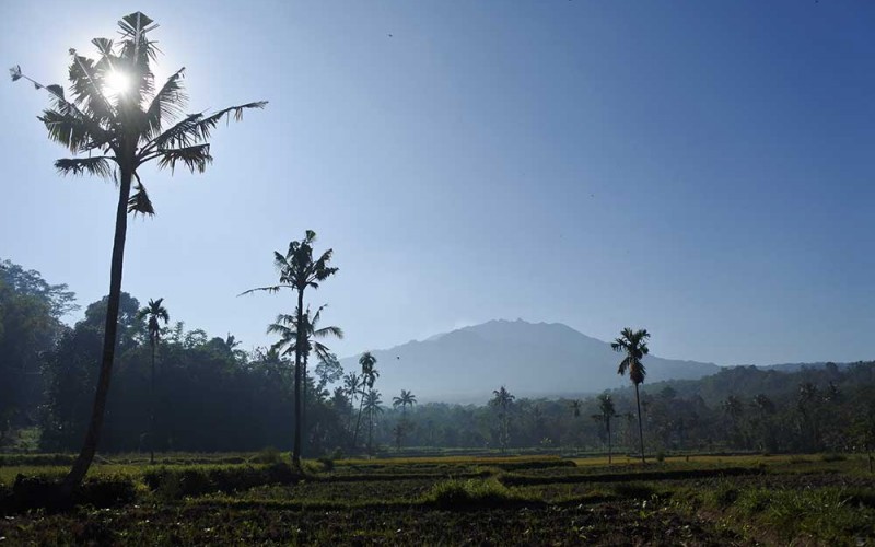 Gunung Raung terlihat dari Desa Gunung Malang, Sumberjambe, Jember, Jawa Timur, Kamis (28/7/2022). Gunung Raung setinggi 3.332 meter di atas permukaan laut (mdpl) mengeluarkan abu vulkanik pada Rabu (27/7/2022) kemarin pukul 17.19-17.28 WIB dan status gunung level I atau normal. ANTARA FOTO/Seno