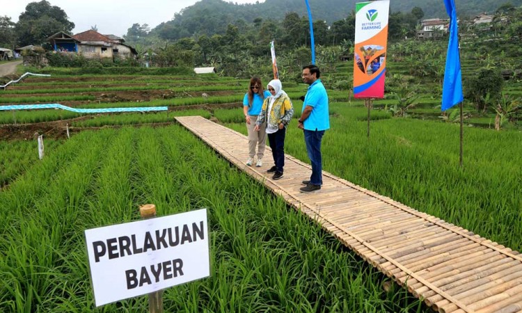 Bayer Memperluas Jangkauan Program Holistik Bayer Untuk Indonesia (BISA) 
