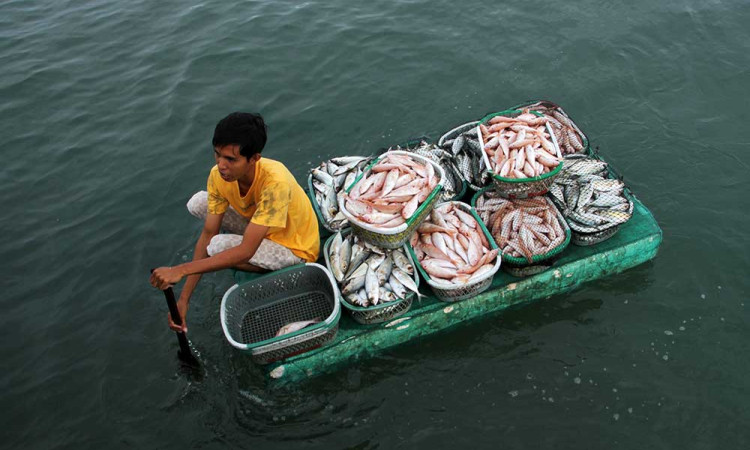 Harga Ikan di Sulawesi Selatan Alami Kenaikan