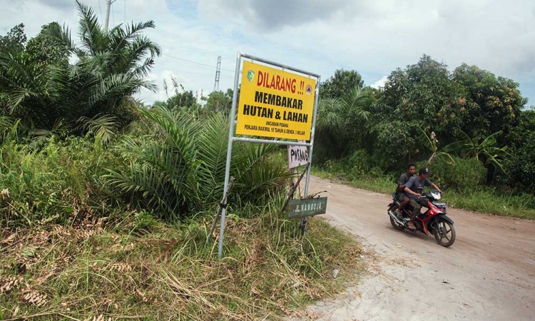 KLHK Catat 83,4 Persen Lahan Gambut di Indonesia Alami Kerusakan