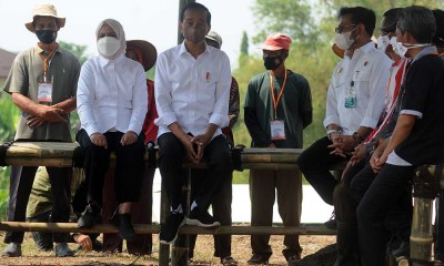 Bangun Ketahan Pangan, Jokowi Tanam Pohon Kelapa Gajah di Boyolali