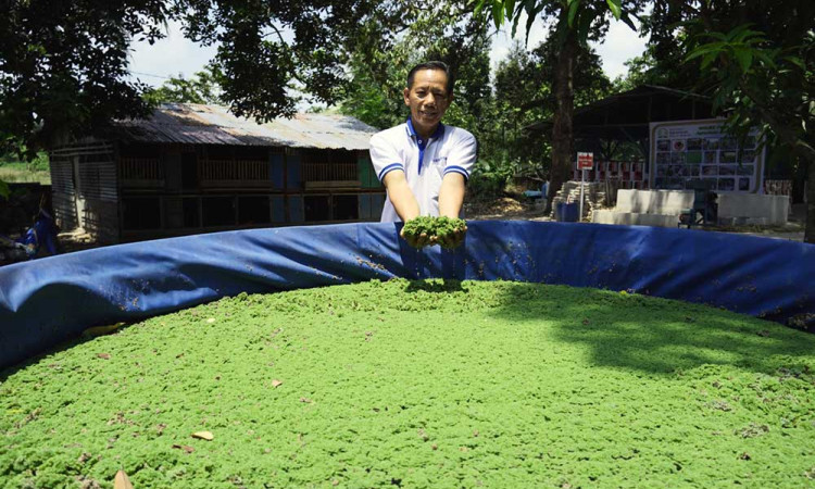 Pertanian Terpadu di Agrowisata Bank Sampah