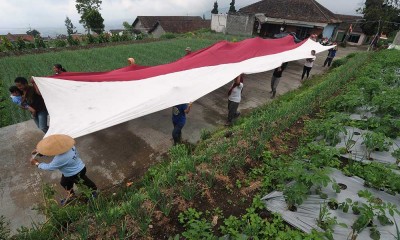 Petani lereng Gunung Merbabu Kibarkan Bendera Merah Putih di Lahan Pertanian