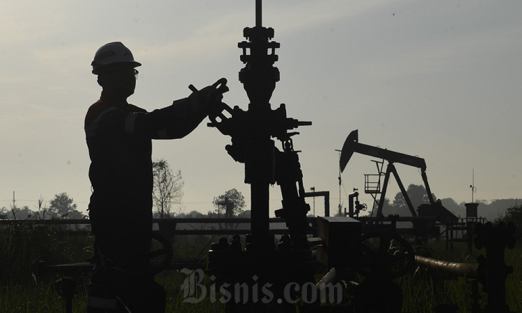 Capaian Satu Tahun Pengelolaan Blok Rokan