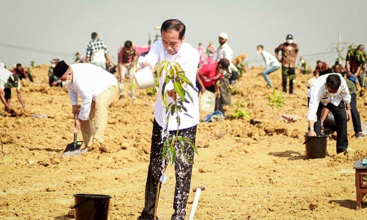 Presiden Jokowi Luncurkan Program Lumbung Pangan di Gresik