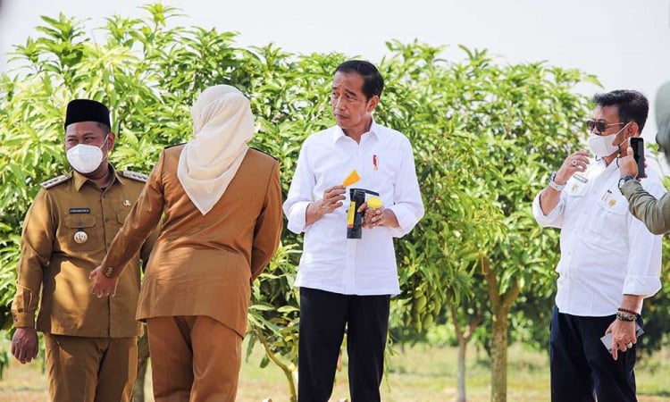 Presiden Jokowi Luncurkan Program Lumbung Pangan di Gresik