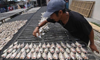 Ikan Asin dari Kampung Nelayan Dijual Seharga Rp25.000-Rp40.000 Per Kilogram