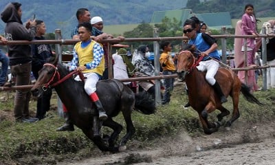 Tradisi Lomba Pacuan Kuda Tradisional Gayo di Aceh