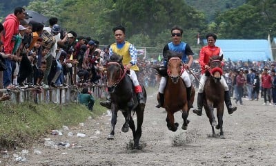 Tradisi Lomba Pacuan Kuda Tradisional Gayo di Aceh