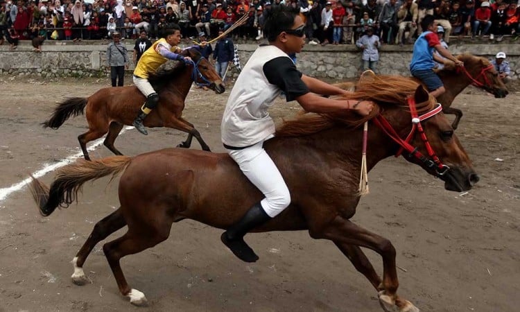 Tradisi Lomba Pacuan Kuda Tradisional Gayo di Aceh