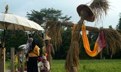 Festival Bebegig Sawah di Bekasi Digelar Untuk Menyambut Panen Raya