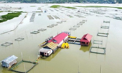 Masyarakat Sekitar Danau Toba Membudidayakan Ikan Dengan Keramba Terapung