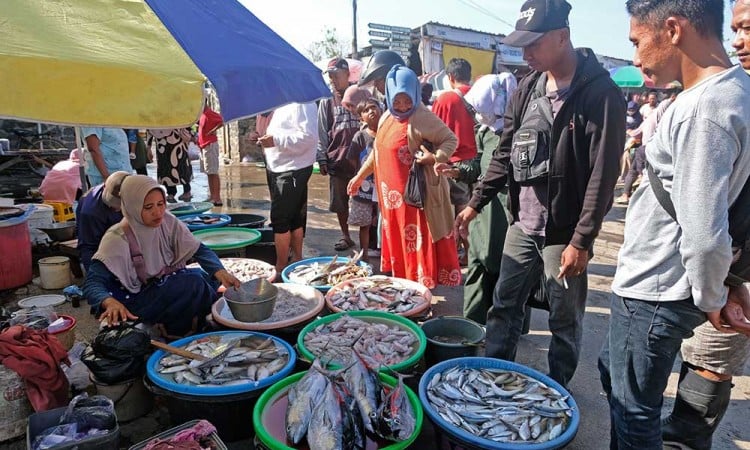 Hasil Tangkapan Nelayan Turun Hingga 50 Persen Akibat Cuaca Buruk