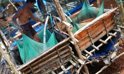 Harga Tepung Sagu Naik Akibat Naiknya Harga BBM Bersubsidi