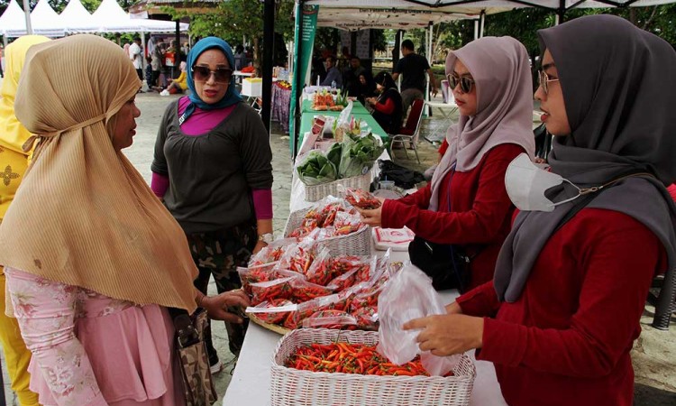 Tekan Laju Inflasi, Dinas Ketahan Pangan Sulawesi Selatan Gelar Bazar Pangan Murah
