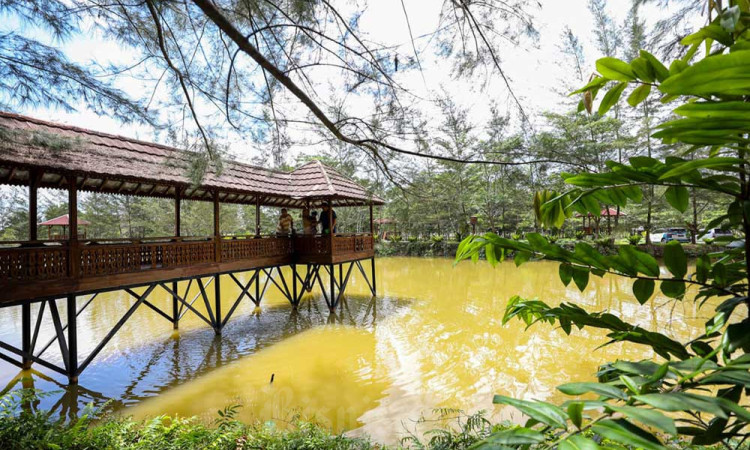 Kampoeng Reklamasi Air Jangkang Merupakan Salah Satu Proyek Rehabilitasi Lingkungan PT Timah Tbk. (TINS)