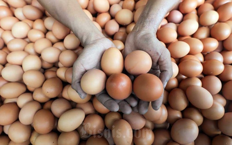Pedagang menunjukan telur di salah satu toko, Jakarta, Senin (26/9/2022). Berdasarkan laporan di Sistem Pemantauan Pasar dan Kebutuhan Pokok (SP2KP) atau early warning system Kementerian Perdagangan, pada pekan ini, 19â23 September 2022, harga minyak goreng, cabai, bawang, daging ayam, telur, dan kedelai kompak turun. Pada periode tersebut harga telur turun sebesar 1,32 persen dari Rp30.400 per kg menjadi Rp30.000 per kg. Bisnis/Himawan L Nugraharn