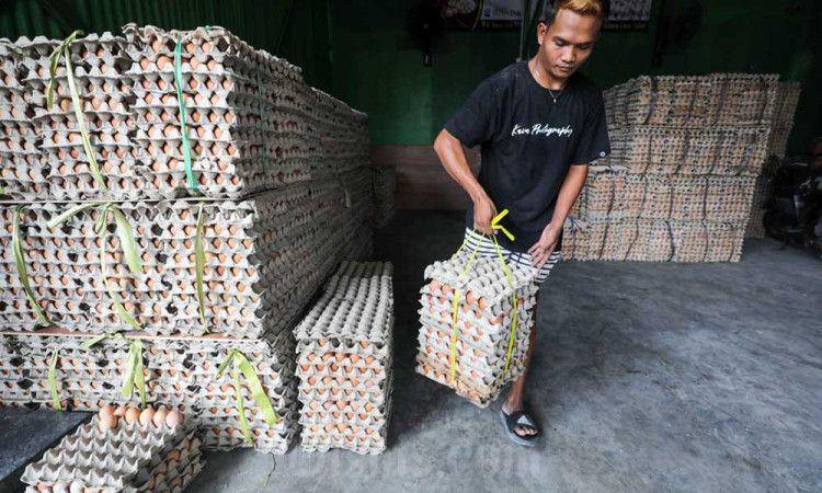 Berdasarkan laporan di SP2KP, Harga Bahan Pangan Kompak Turun