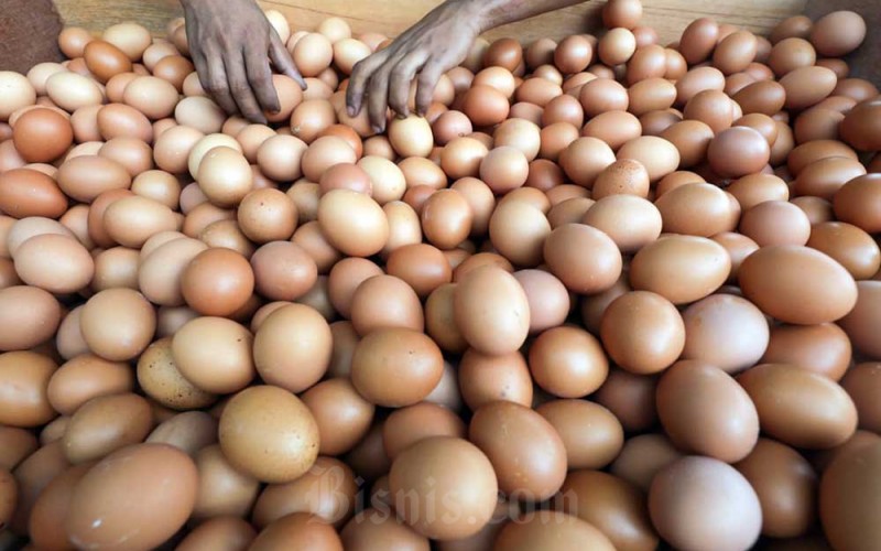 Pedagang menunjukan telur di salah satu toko, Jakarta, Senin (26/9/2022). Berdasarkan laporan di Sistem Pemantauan Pasar dan Kebutuhan Pokok (SP2KP) atau early warning system Kementerian Perdagangan, pada pekan ini, 19â23 September 2022, harga minyak goreng, cabai, bawang, daging ayam, telur, dan kedelai kompak turun. Pada periode tersebut harga telur turun sebesar 1,32 persen dari Rp30.400 per kg menjadi Rp30.000 per kg. Bisnis/Himawan L Nugraharn