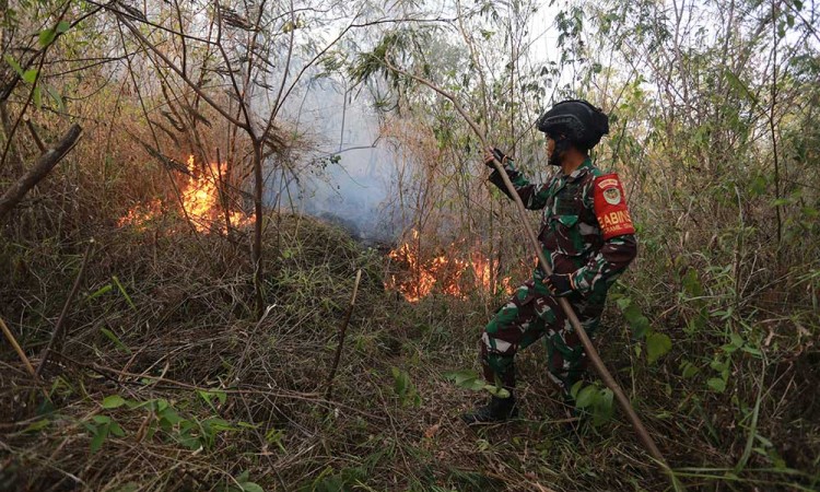 Kebakaran Terjadi di Kawasan Taman Nasional Gunung Ciremai