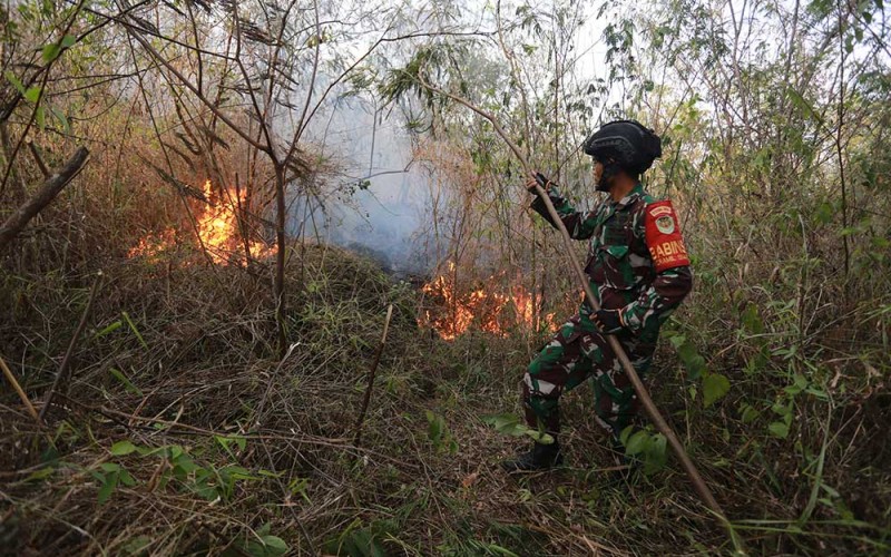 Personel TNI berusaha memadamkan kebakaran hutan dan lahan (karhutla) di Desa Cibuntu, Kecamatan Pesawahan, Kuningan, Jawa Barat, Senin (26/9/2022). Puluhan personel gabungan dari Balai Taman Nasional Gunung Ciremai (BTNGC), Masyarakat Peduli Api (MPA) dan personel TNI/Polri diterjunkan ke lokasi kebakaran untuk memadamkan api yang telah menghanguskan puluhan hektar kawasan hutan di lereng Gunung Ciremai. ANTARA FOTO/Dedhez Anggara