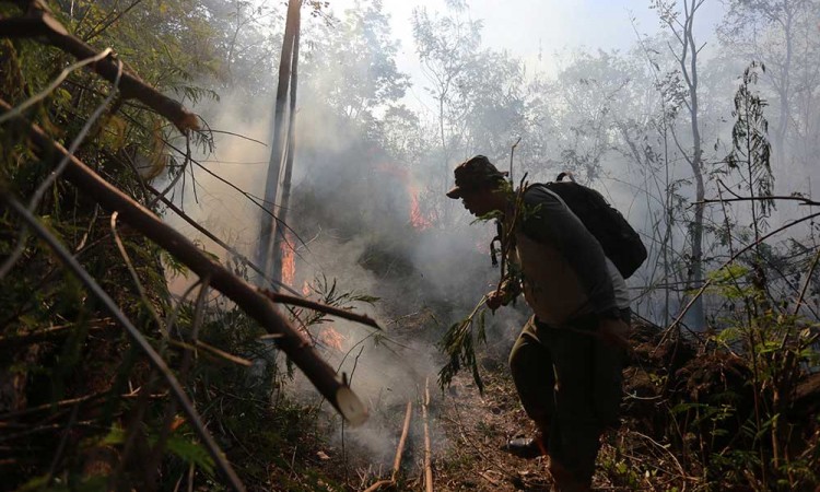 Kebakaran Terjadi di Kawasan Taman Nasional Gunung Ciremai
