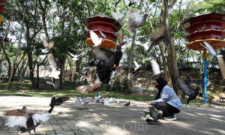 PT Bukit Asam Tbk. (PTBA) Membuat Mini Zoo dan Jogging Track di Reklamasi Bekas Tambang Batu Bara
