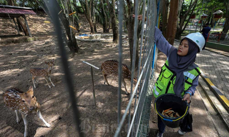 PT Bukit Asam Tbk. (PTBA) Membuat Mini Zoo dan Jogging Track di Reklamasi Bekas Tambang Batu Bara