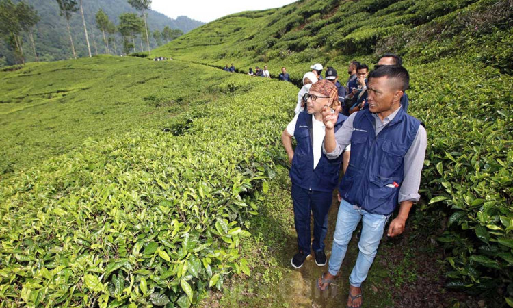 KPw BI Provinsi Jawa Barat Dorong Agrifirestry di Jabar