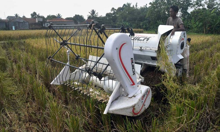 Petani Mulai Menggunakan Mesin Pemanen Padi Bantuan Pemerintah