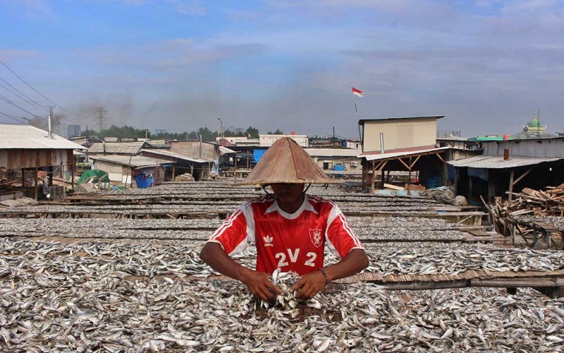 Sejumlah nelayan mengeringkan ikan di Kampung Nelayan, Jakarta, Senin (3/9/2022).  Kementerian Kelautan dan Perikanan (KKP) mendapat pagu anggaran 2023 sebesar Rp6,7 triliun dengan target indikator kinerja utama antara lain pertumbuhan PDB perikanan 4-6 persen, produksi perikanan 30,31 juta dan presentase kepatuhan pelaku usaha kelautan dan perikanan 97 persen. ANTARA FOTO/Henry Purba