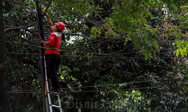 Telkom Akan Selesaikan Merger Indihome dan Telkomsel Pada Akhir Tahun Ini