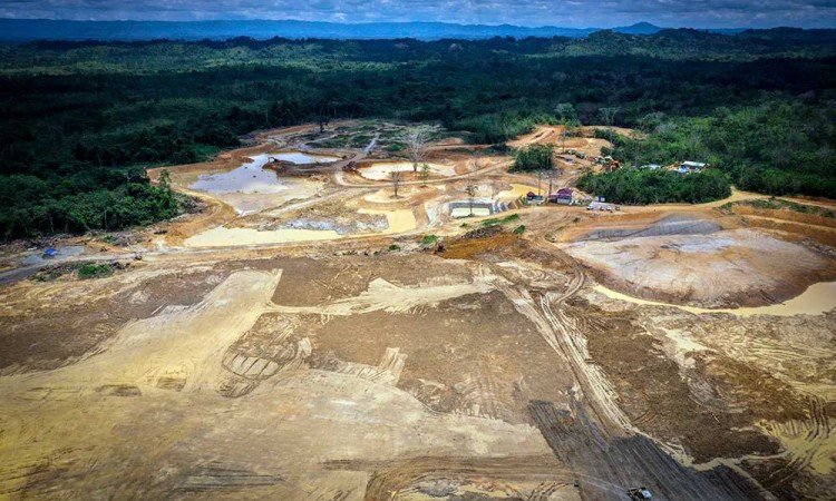 Pemerintah Lakukan Pembenahan Kawasan Persemaian Mentawir di Kalimantan Timur